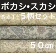 Item thumbnail for item 7f549ed8-ed99-4ccc-b1d9-36cdd1779efb