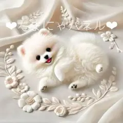 パネル生地【495】新柄❣️