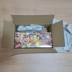 ポケモンカードゲーム スペシャルBOXトウホク
