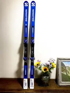 最終価格！！】SALOMON X PRO Mg 158cm スキー板 美品☆ - メルカリ