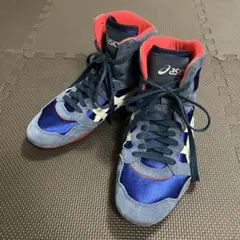 Item thumbnail for item b006739d-10f4-4b0e-b536-0deea92b7149