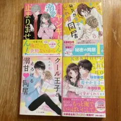 雨乃めこシリーズ4冊セット