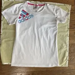 adidas クライマライト 半袖Tシャツ M ホワイト