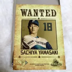 非売品　北海道日本ハムファイターズ　トレカ　山﨑福也