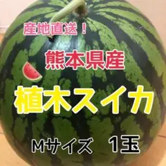 和歌山 露茜 5kg クール便 連絡先電話番号を必ず連絡を - メルカリ