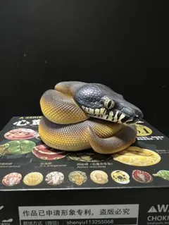 【動物の惑星】★スペングラーヤマガメ（シークレット）★レア 2025.4.20入荷 【𝙂𝙚𝙤𝙚𝙢𝙮𝙙𝙖 𝙨𝙥𝙚𝙣𝙜𝙡𝙚𝙧𝙞