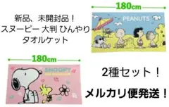 SNOOPY スヌーピー 大判 ひんやり生地 タオルケット バスタオル 2種