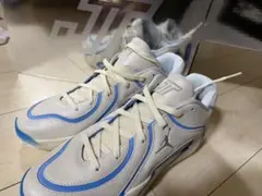 Item thumbnail for item 283a9baf-f2ee-45e6-bf2e-40c6c2820476