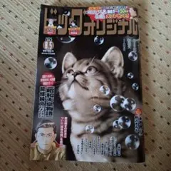 ビッグコミックオリジナル ２０２５年８月５日号
