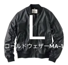 Item thumbnail for item b8232902-bd41-43f1-abdf-72761eac2346