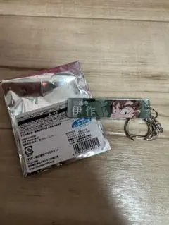 忍たま乱太郎 トレーディング目ヂカラアクリルキーホルダー Bver. 善法寺伊作