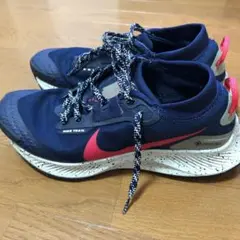 27cm【Nike】ペガサストレイル3 GORE-TEX