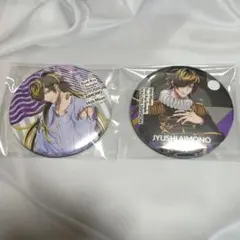 ヒプマイ 缶バッジ 十四