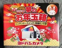 任天堂スイッチ有機ELの夢 ヨドバシカメラ
