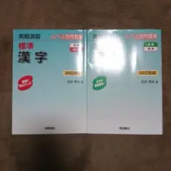 実践演習　基礎漢字　標準漢字　2冊セット