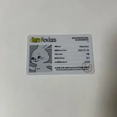 newjeans bluebookver トレカ IDカード
