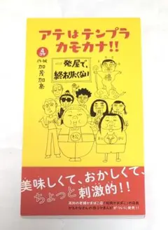 ★美品 アテはテンプラカモカナ!!