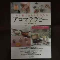 Item thumbnail for item 06bb97be-17b9-4953-a7ba-0af66e44149d