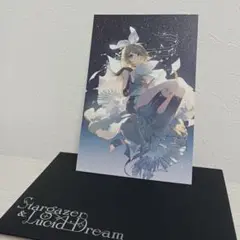 Rella Stargazer & Lucid Dream リン ポストカード