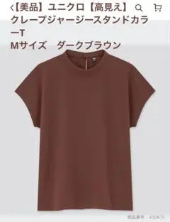 クレープジャージースタンドカラーT（半袖）ダークブラウン