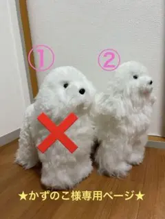 ããªãã³ã° ã«ããç·Žç¿ ç¬ãããã³ 1äœâ¡