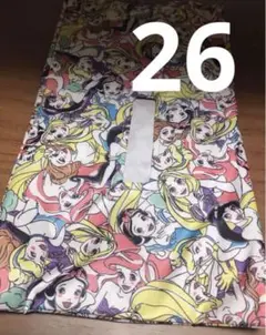 プリンセスティッシュケース