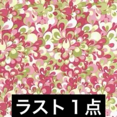 輸入生地　USAコットン　(Emma)レトロペイズリー