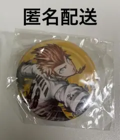 (匿名配送)ダンガンロンパ 缶バッジコレクション 桑田怜恩