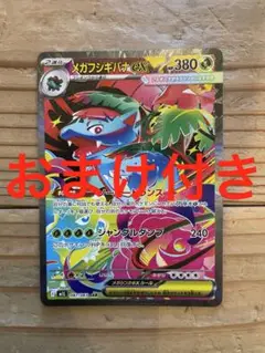 メガフシギバナex SAR おまけ付き