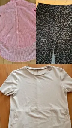 Item thumbnail for item 9dd2828b-e14d-47c0-ab8d-a5f0d7d3321d