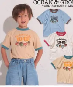 オーシャン&グラウンド リンガーT