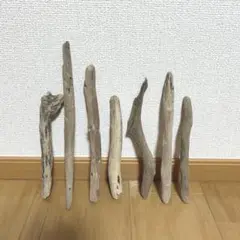 Item thumbnail for item 88b8e396-4f4d-4aa1-8f1f-314001810e54