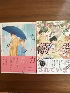 恋なんかしたくない & オオカミパパに溺愛されています　2冊セット