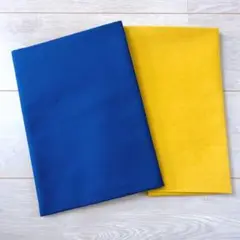 Item thumbnail for item 0ccc5a87-4fd9-4b34-ad5a-33f7510ce8f8