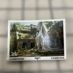 Item thumbnail for item 0ee719c8-1584-4404-8930-d8137cf158c1