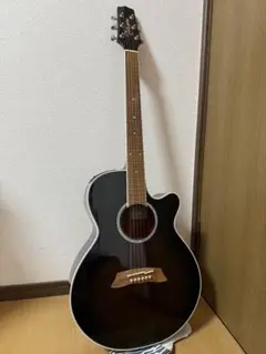 2025年最新】TAKAMINE PTU 107の人気アイテム - メルカリ