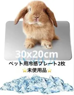 Item thumbnail for item 07a2a2e5-b193-4414-9f07-de7c7feabcd0