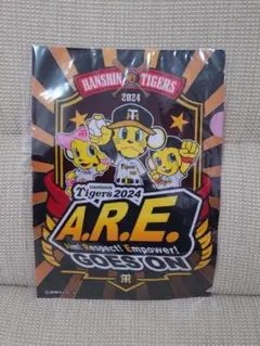 阪神タイガース 2024 A.R.E. GOES ON クリアファイル