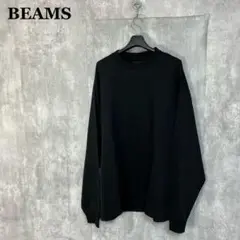 新品 BEAMS 天竺 ロングスリーブ Tシャツ XL