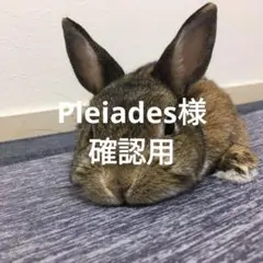Pleiades様♡確認用ページ