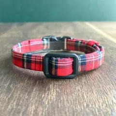 Item thumbnail for item dc09ff7b-2a73-4472-96d2-75b9f01ec654