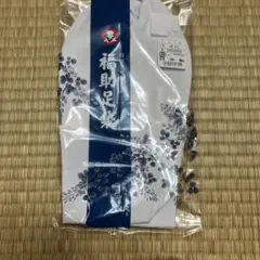 Item thumbnail for item b45ef4d4-3f2a-4b94-be54-9504393c2d5f