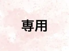 【専用出品】