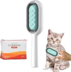 Item thumbnail for item ed564169-a6e0-42d2-b5d4-01496fb29168