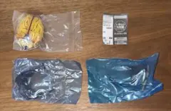 いきもの大図鑑　かぶとむし09 ヘラクレス・オキシデンタリス