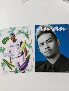 ファイターズ　水谷瞬　カード　エスコン　anan