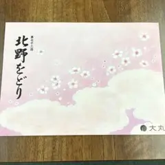 美品！　北野をどり 第72回 大丸　パンフレット