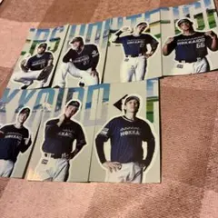北海道日本ハムファイターズ 選手ステッカー7枚コンプリートセット