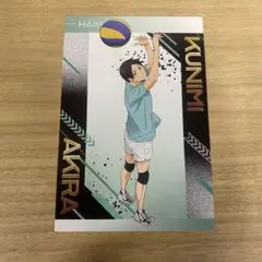 ハイキュー アニメイトフェア 特典 ポストカード 国見英