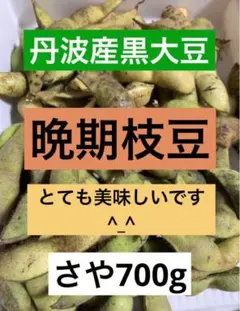 丹波産 黒大豆 黒豆 晩期枝豆 さや700g